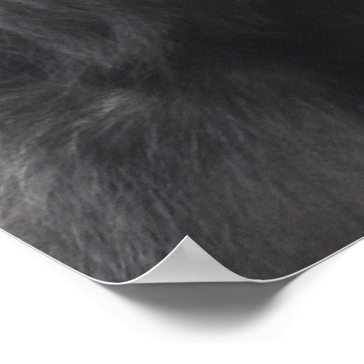 contemplatieve chimpansee poster (Hoek)