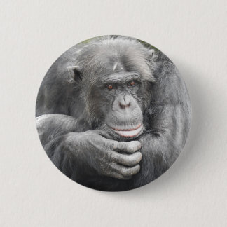 contemplatieve chimpansee ronde button 5,7 cm