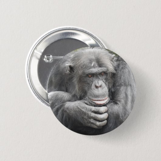 contemplatieve chimpansee ronde button 5,7 cm (Voorkant /achterkant)