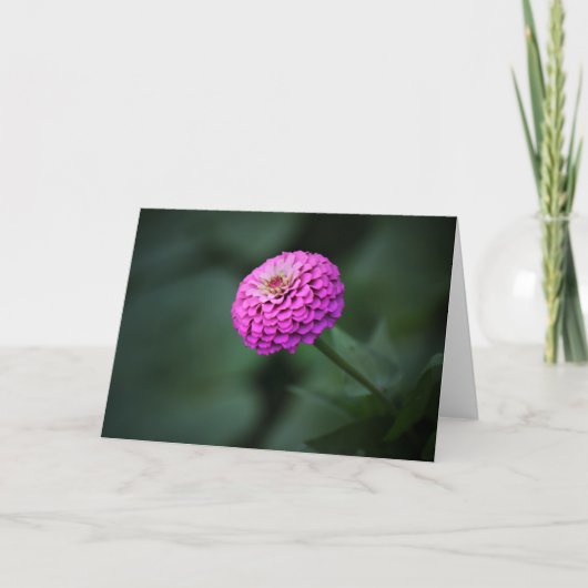 Contemplatieve Zinnia Note Card Kaart (Voorkant)
