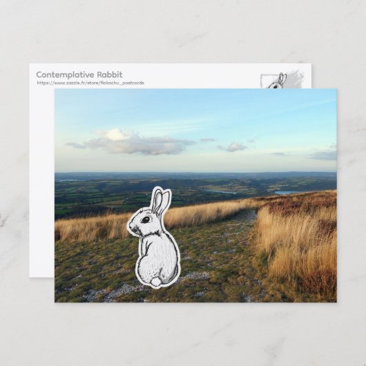 Contemplative Rabbit Briefkaart (Voorkant / Achterkant)