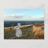 Contemplative Rabbit (color) Briefkaart (Voorkant)