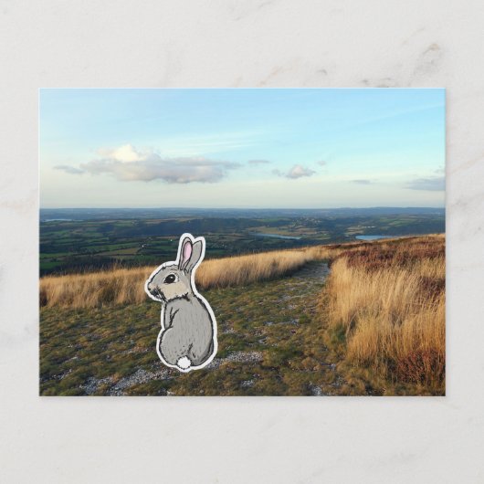 Contemplative Rabbit (color) Briefkaart (Voorkant)