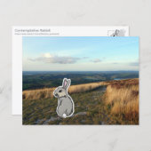 Contemplative Rabbit (color) Briefkaart (Voorkant / Achterkant)