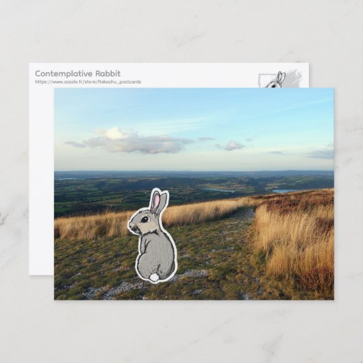 Contemplative Rabbit (color) Briefkaart (Voorkant / Achterkant)
