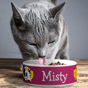 Content Calico en Tabby Cats  Voerbakje