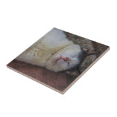 Content Cat die op haar rug slapen Tegeltje (Zijkant)