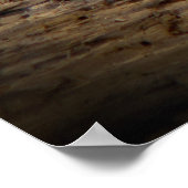 Content Tiger Poster (Hoek)