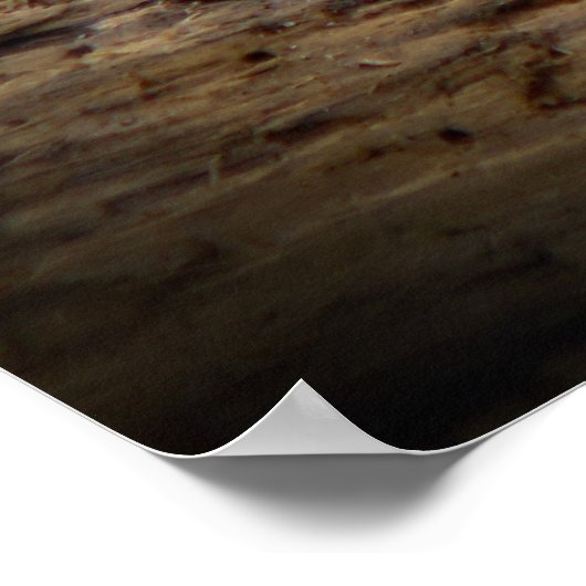 Content Tiger Poster (Hoek)