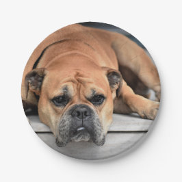 Continental Bulldog Aanpasbaar Papieren Bordje