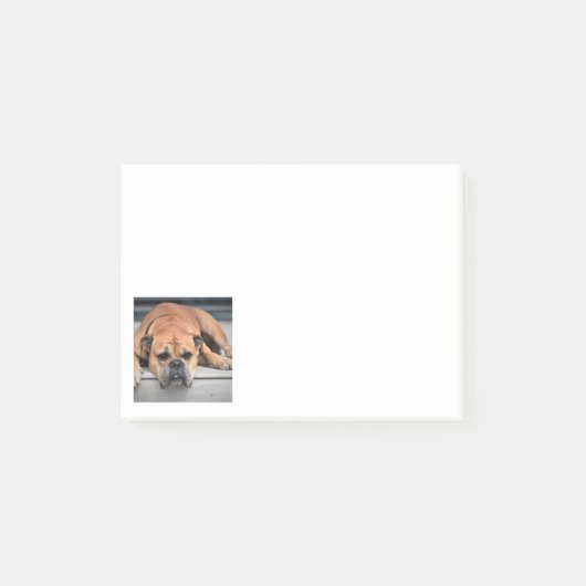Continental Bulldog Post-it® Notes (Voorkant)