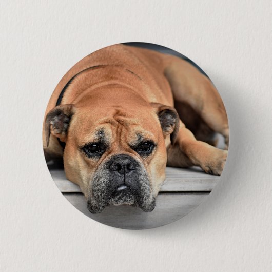 Continental Bulldog Ronde Button 5,7 Cm (Voorkant)