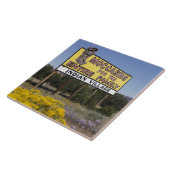 Continentale splitsing, New Mexico, Route 66 Tegeltje (Zijkant)