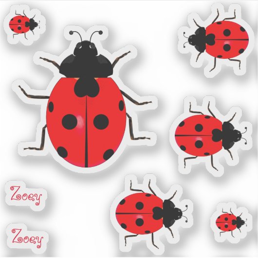 Contour Ladybugs Vinyl Stickers Labels (Voorkant)