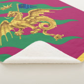 Contrada del Drago (Dragon) Palio di Siena Sherpa Deken (3/4)