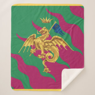 Contrada del Drago (Dragon) Palio di Siena Sherpa Deken
