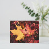 Contrast herfst briefkaart (Staand voorkant)