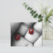 contrast lieveheersbeestje briefkaart (Staand voorkant)