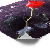 Contre Qui, Roos Poster (Hoek)