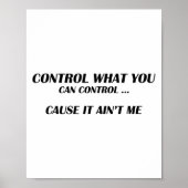 Control What You Can Control Cause It Ain't Me Fun Poster (Voorkant)