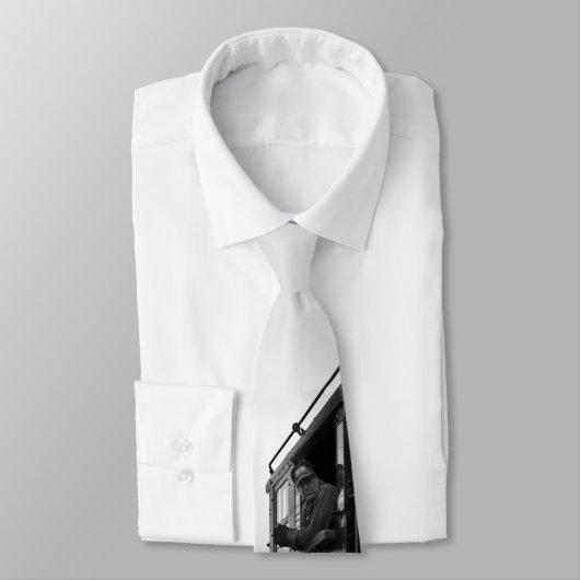 Controle van het rollend materieel in de gezondhei stropdas (Gebonden)