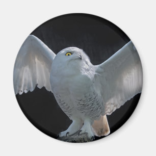 Controle vóór de vlucht Magnet