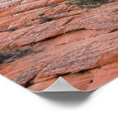 Controlebord Mesa Zion National Park Poster (Hoek)