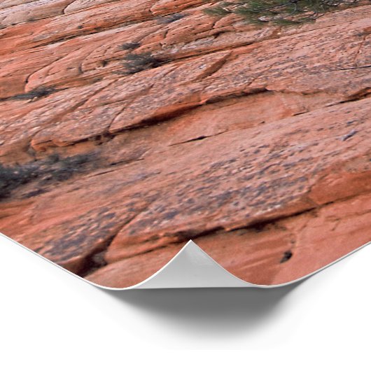 Controlebord Mesa Zion National Park Poster (Hoek)