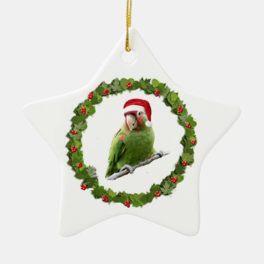Conure kerst Wreath Keramisch Ornament (Voorkant)