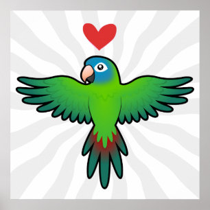 Conure / Lorikeet / Papegaai Liefde Poster