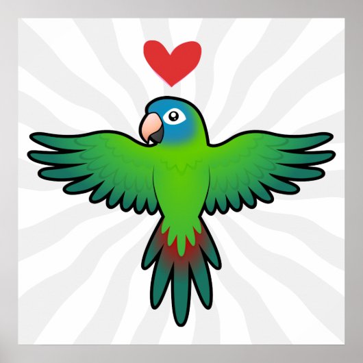 Conure / Lorikeet / Papegaai Liefde Poster (Voorkant)