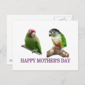 Conure Moederdag Briefkaart (Voorkant / Achterkant)