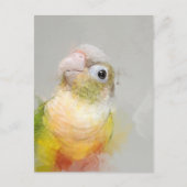 Conure portret 012 briefkaart (Voorkant)