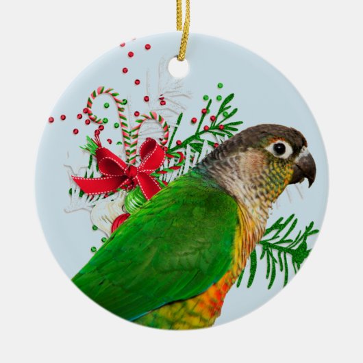 Conure Warmt de Feestdagen Keramisch Ornament (Voorkant)