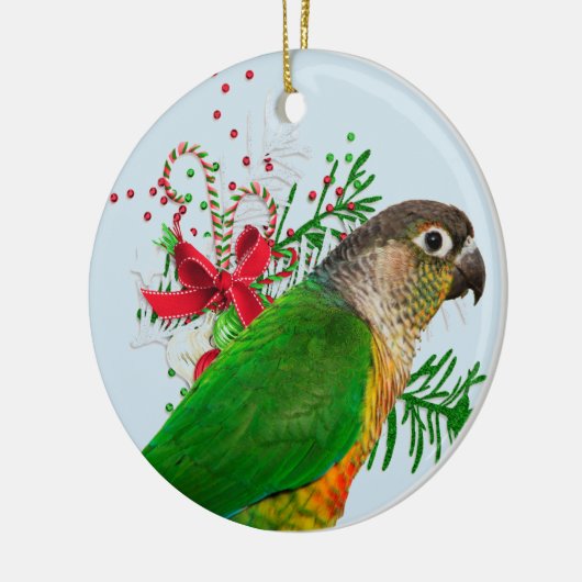 Conure Warmt de Feestdagen Keramisch Ornament (Links)