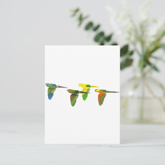 Conures! Briefkaart (Staand voorkant)