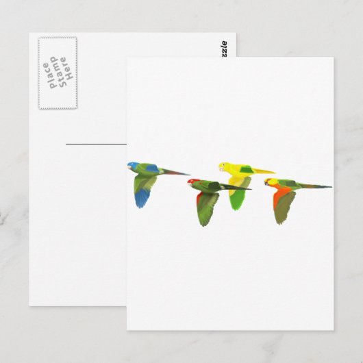 Conures! Briefkaart (Voorkant / Achterkant)