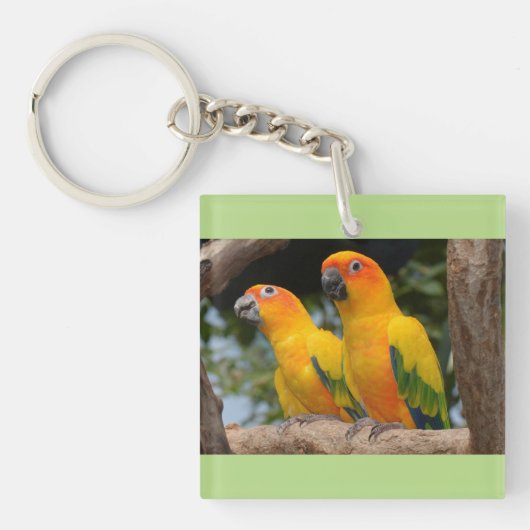 Conures Sleutelhanger (voorkant)