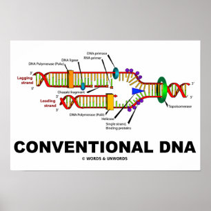 Conventionele DNA-moleculaire biologie-Humor Poster
