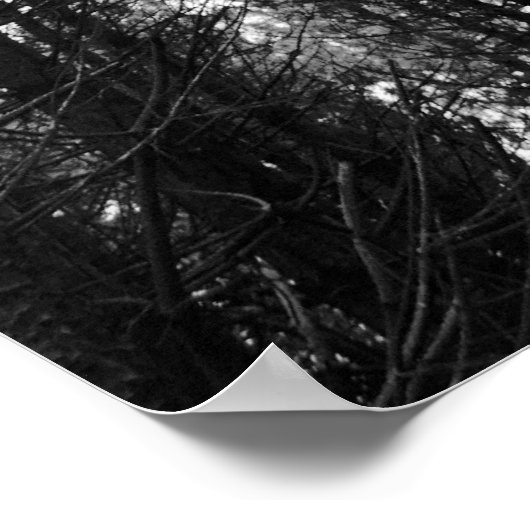 Convergende minds poster (Hoek)