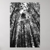 Convergende minds poster (Voorkant)