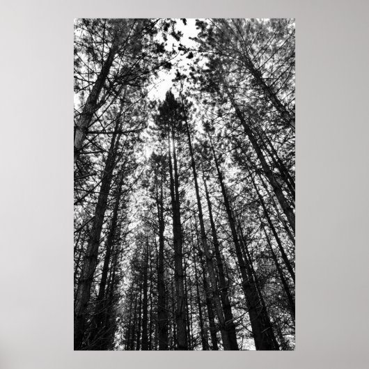 Convergende minds poster (Voorkant)