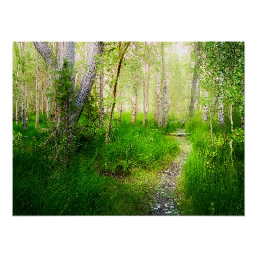 Convict Lake Aspen Meadow Wall Art Nature Print Perfect Poster (Voorkant)