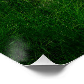 Convict Lake Aspen Meadow Wall Art Nature Print Perfect Poster (Hoek)