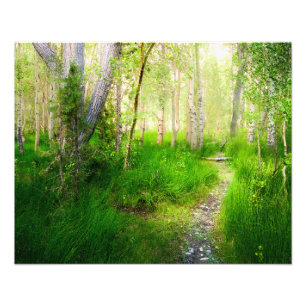 Convict Lake Espen Muur Kunst   Eastern Sierra Foto Afdruk