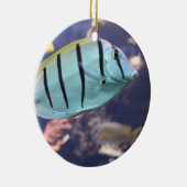 Convict Tang Gitter-Doktorfisch Keramisch Ornament (Rechts)