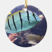 Convict Tang Gitter-Doktorfisch Keramisch Ornament (Voorkant)