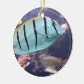 Convict Tang Gitter-Doktorfisch Keramisch Ornament (Links)
