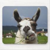 Cooest Llama Muismat (Voorkant)