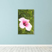Cook Eilanden, Atiu. Hibiscus bloem. Canvas Afdruk (Insitu (Houten vloer))